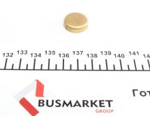 Заглушка блоку циліндрів (d=19mm) Латунь/Brass