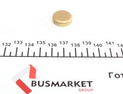 Заглушка блока цилиндров (d=19mm) Латунь/Brass