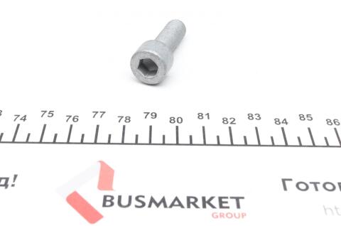 Ролик ГРМ Audi A4/A6/A8/Skoda Superb 2.5TDI 97-08 (паразитний) (70x34) Ролик ГРМ Audi A4/A6/A8/Skoda Superb 2.5TDI 97-08 (паразитний) (70x34)