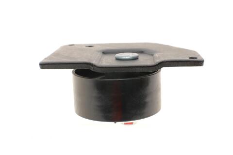 Ролик ГРМ Renault Megane/Scenic 1.9D 08- отдельная поставка невозможна