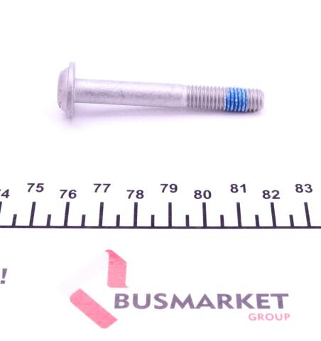 Ролик ГРМ VW Crafter 2.5TDI 06- (натяжний) (73х27) (Litens всередині) Ролик ГРМ VW Crafter 2.5TDI 06- (натяжний) (73х27) (Litens всередині)