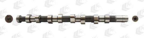 Кулачковий вал