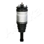 Пневматична амортизаційна стійка