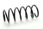 Пружина подвески, фото 1 - интернет-магазин Auto-Mechanic