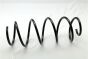 Пружина підвіски, фото 1 - інтерент-магазин Auto-Mechanic