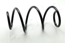 Пружина підвіски