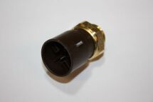 Термовимикач, вентилятор радіатора