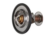 Термостат, охлаждающая жидкость