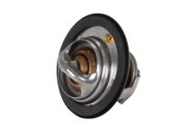 Термостат, охлаждающая жидкость