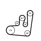 Комплект поліклинових ременів