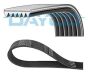 Ремінь генератора Skoda Octavia/VW Golf 1.6-2.0/1.9TDI 97-13/Passat B6/B7 1.8-2.0TSI/T5 1.9TDI 03-15, фото 1 - інтерент-магазин Auto-Mechanic