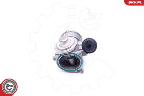 Клапан системи рециркуляції ВГ Клапан системи рециркуляції ВГ