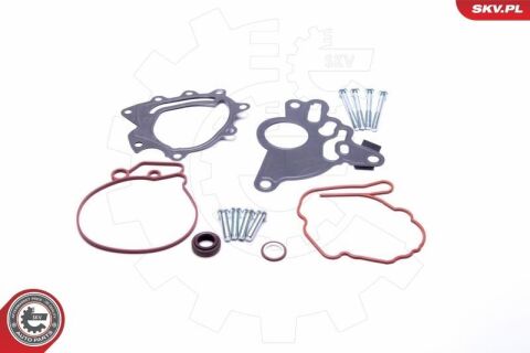 Ремкомплект, вакуумний насос (гальмівна установка) Ремкомплект, вакуумний насос (гальмівна установка)