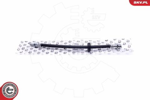 Гальмівний шланг