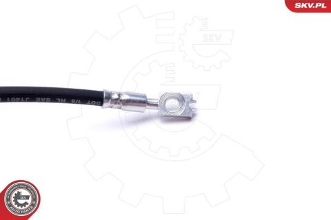 Гальмівний шланг