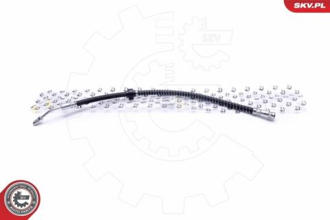 Гальмівний шланг