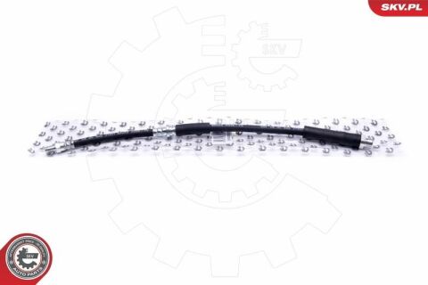 Гальмівний шланг