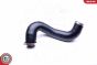 Шланг подачі наддувального повітря, фото 1 - інтерент-магазин Auto-Mechanic