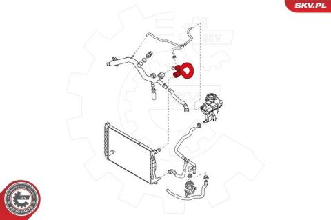 Шланг радіатора