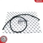 Шланг, витік палива