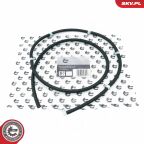 Шланг, витік палива