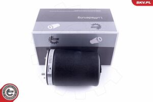 Пневморесора, ходова частина