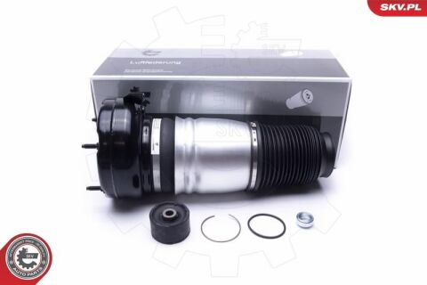 Пневматична амортизаційна стійка Пневматична амортизаційна стійка