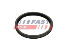 Ущільнювальне кільце, шланг подачі наддувального повітря Ущільнювальне кільце, шланг подачі наддувального повітря