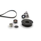 Комплект поліклинових ременів