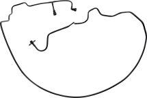 Топливный шланг