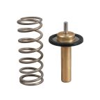 Термостат, охлаждающая жидкость