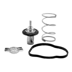 Термостат MB W176/Citan/Renault Clio/Kangoo/Megane 1.5 D/dCI/Cdi 09- (83C)