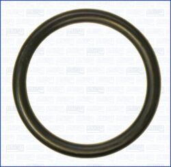 Кільце ущільнююче (VAG O-ring)