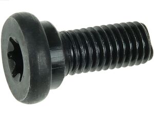 Болт з головкою системи TORX з чорного металу