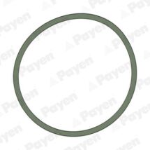 Прокладка колектора двигуна гумова