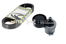 Роликовый модуль натяжителя ремня (ролик, ремень) Роликовый модуль натяжителя ремня (ролик, ремень)