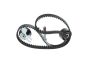 Комплект ГРМ Citroen Jumper/Jumpy/Peugeot Boxer/Expert 2.0 BlueHDi 15- (25.6x116), фото 3 - интернет-магазин Auto-Mechanic