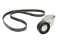 Комплект ременя генератора Volvo S40/S60/S80/V40/V60/V70/XC60/XC70 1.9/2.0/2.4D 00-, фото 1 - інтерент-магазин Auto-Mechanic
