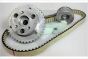 Кассета цепи ГРМ Ford Connect 1.8TDCI (75-90-110PS) 02-13, фото 19 - интернет-магазин Auto-Mechanic