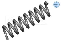 Пружина підвіски