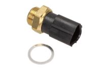 Вставка дзеркала зовнішня права Вставка дзеркала зовнішня права