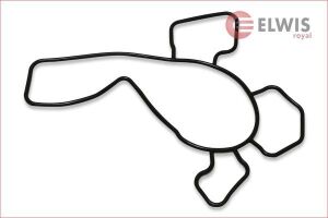 Прокладка, Водяний насос