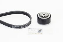 комплект пасу поліклинового