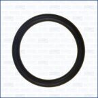 Ущільнення, впускний колектор Ущільнення, впускний колектор