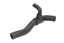 Оливний шланг