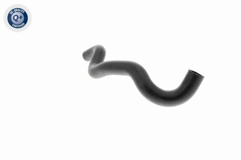 Шланг радіатора