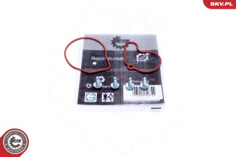 Ремкомплект, вакуумний насос (гальмівна установка) Ремкомплект, вакуумний насос (гальмівна установка)