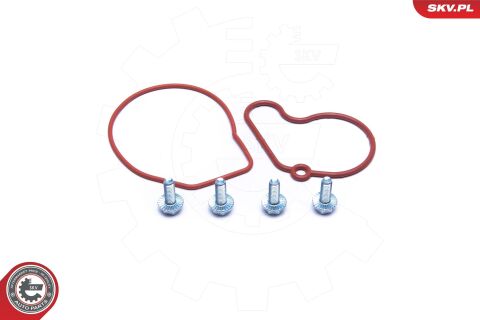 Ремкомплект, вакуумний насос (гальмівна установка) Ремкомплект, вакуумний насос (гальмівна установка)