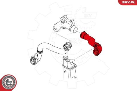 Шланг радиатора