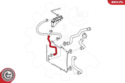 Шланг радіатора Шланг радіатора